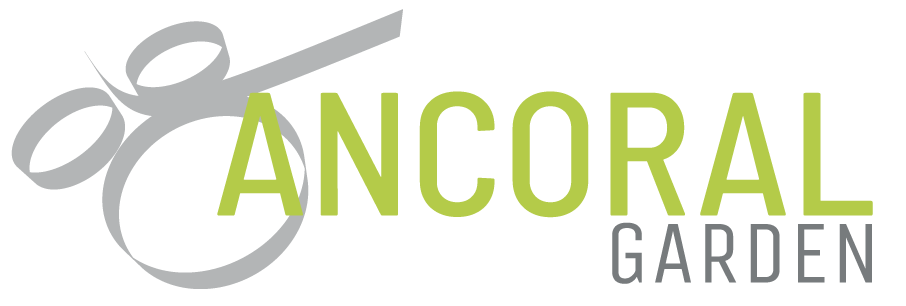 LOGO Ancoral